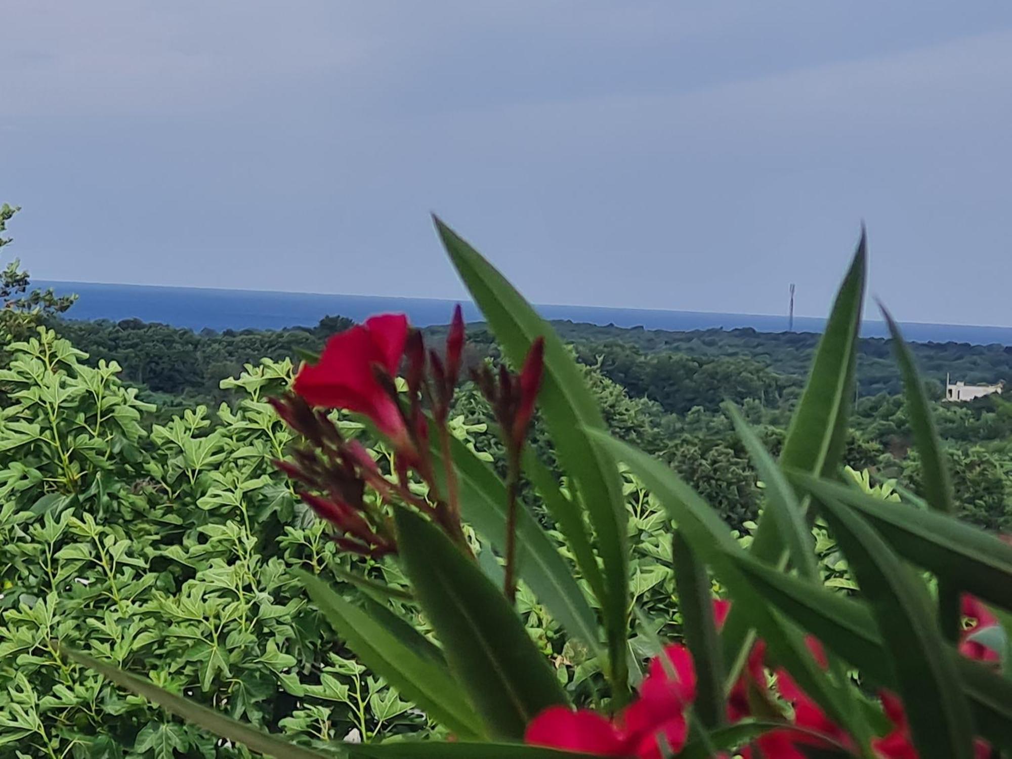 Casa vacanze Marein Porec